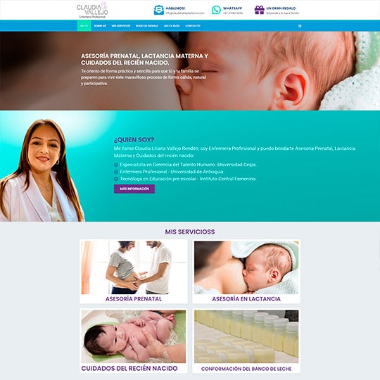 Vista previa del proyecto web Claudia Vallejo Lactancia